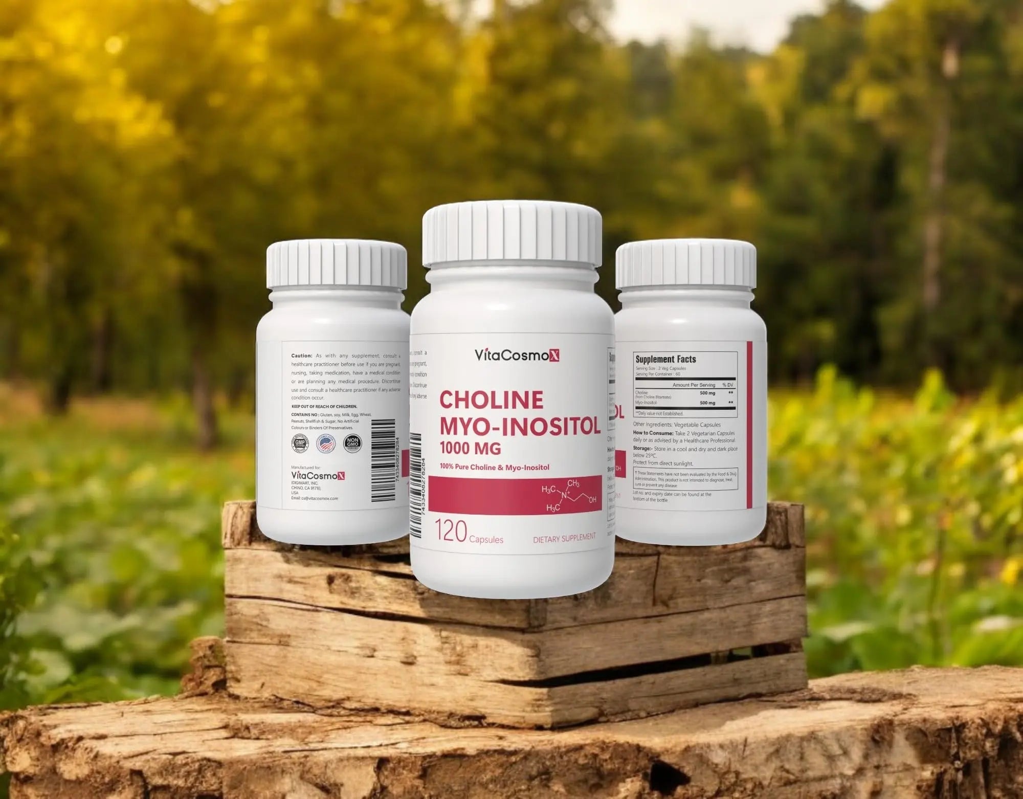 VitaCosmoX Choline and Myo-Inositol Supplement, 1000 mg Each, 120 Veggie Capsules 100% Vegetarian, Non-GMO & Gluten Free - TrustMedUSA