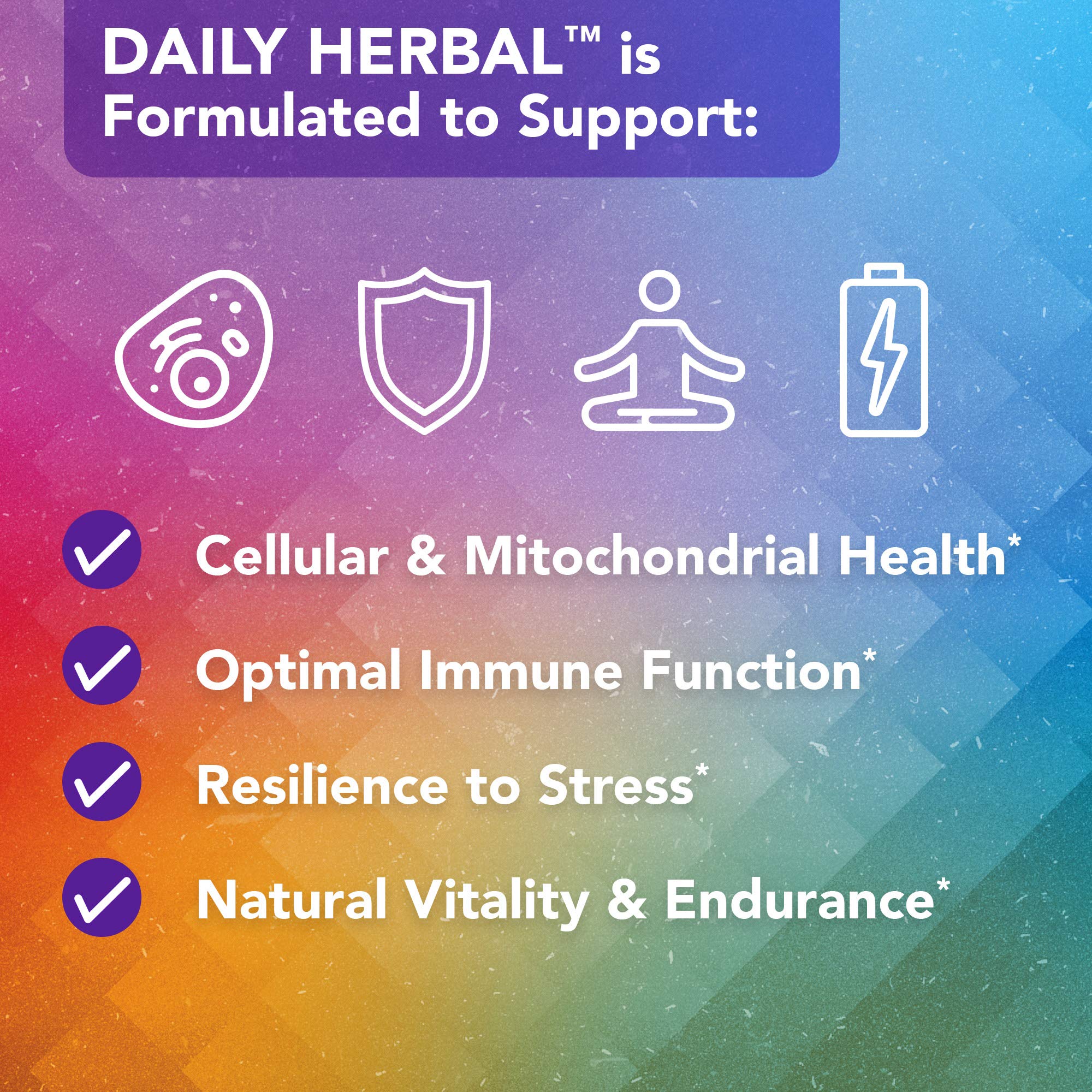Vital Plan Daily Herbal Supplement by Dr. Bill Rawls – Herbal Immunity Booster for Immune Support, Microbiome Balance & Cell Health — Reishi Mushroom, Turmeric & Rhodiola - TrustMedUSA