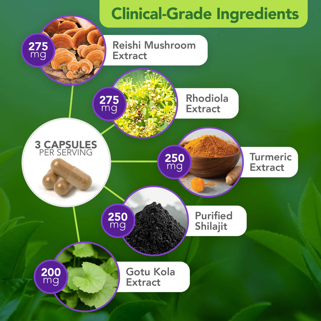 Vital Plan Daily Herbal Supplement by Dr. Bill Rawls – Herbal Immunity Booster for Immune Support, Microbiome Balance & Cell Health — Reishi Mushroom, Turmeric & Rhodiola - TrustMedUSA