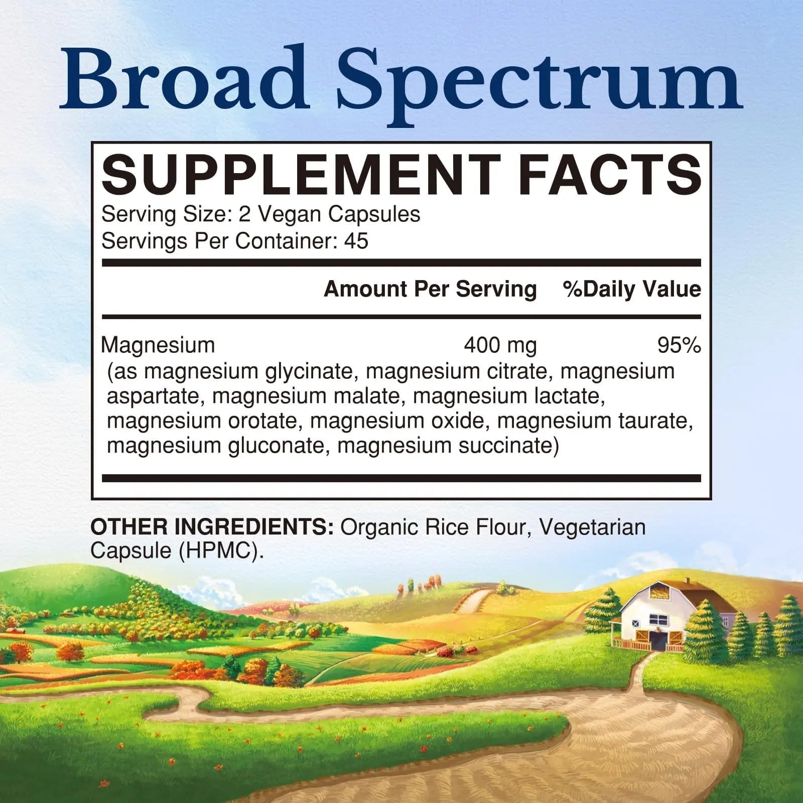 Vitalitown 10 in 1 Magnesium Complex Supplement - 400mg Elemental Magnesium Chelated with Glycinate, Citrate, Malate, Taurate & More - for Sleep Heart Energy - Non-GMO, Vegan, 90 Caps - TrustMedUSA