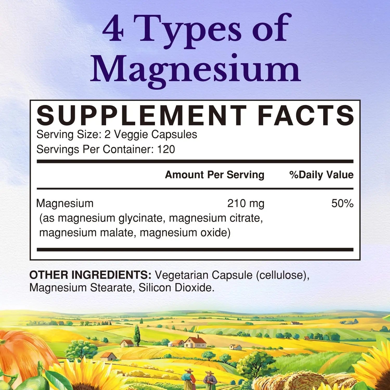Vitalitown Magnesium Complex | Chelated Easily Absorbed Magnesium Glycinate Citrate Malate | Buffered | 210mg Elemental Mag | Sleep, Nerve, Digestion, Energy | Non-GMO 240 Veg Caps - TrustMedUSA