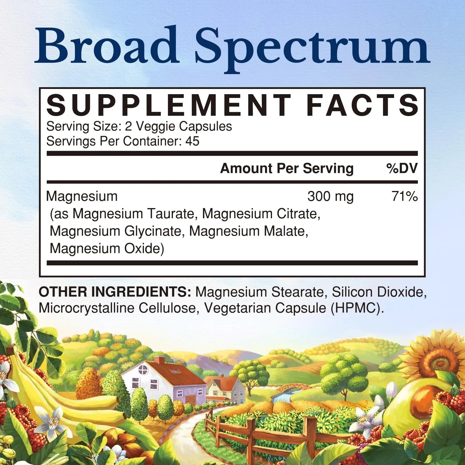 Vitalitown Magnesium Complex Supplement | 300mg Elemental Mag | Magnesium Citrate Glycinate Taurate Malate | Non-GMO, No Gluten, 90 Vegan Magnesio Capsules for Bone Brain Heart - TrustMedUSA