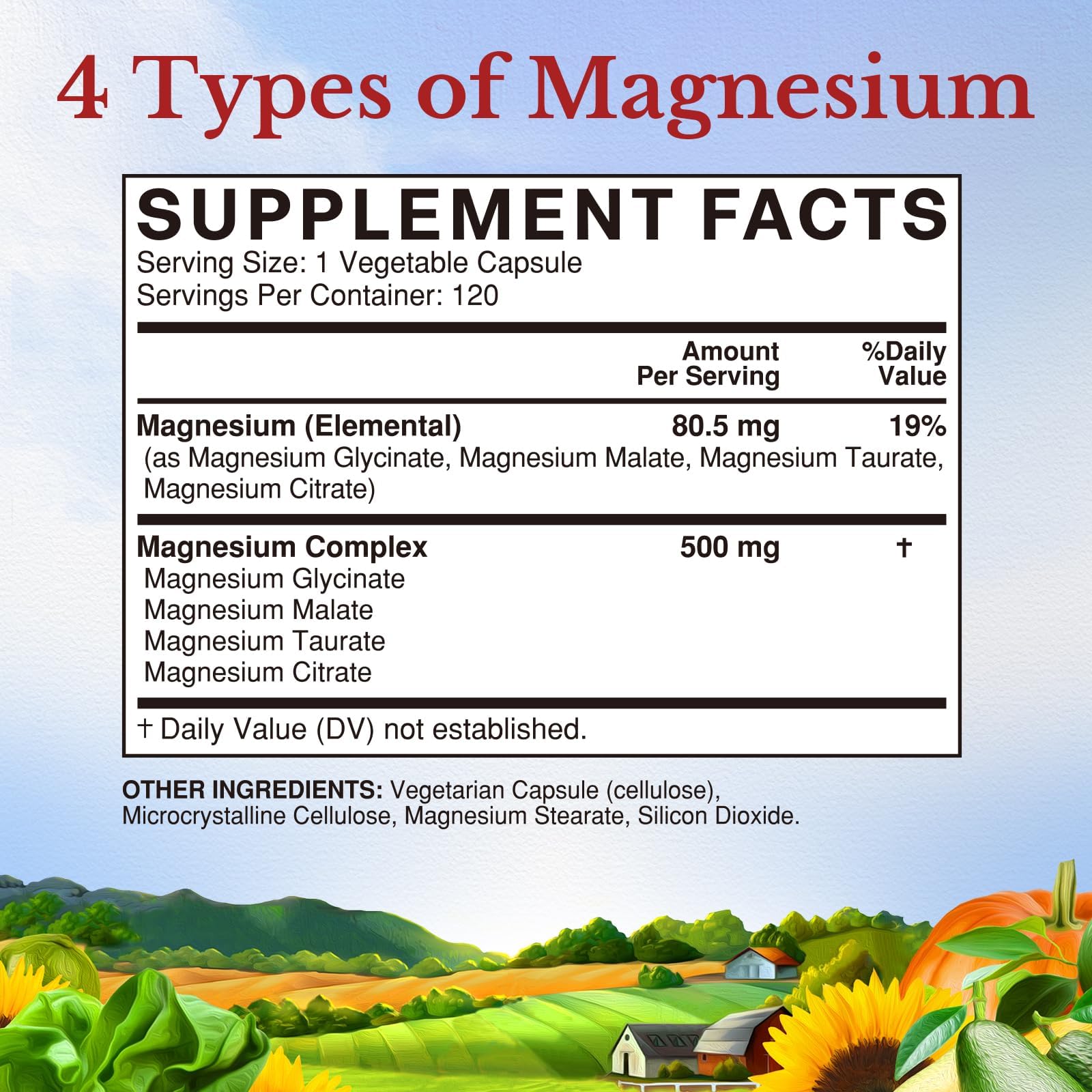 Vitalitown Magnesium Complex Supplement 500mg - NSF Certified Magnesium Glycinate, Malate, Taurate & Citrate - Chelated High Absorption & Gentle on Stomach - TrustMedUSA