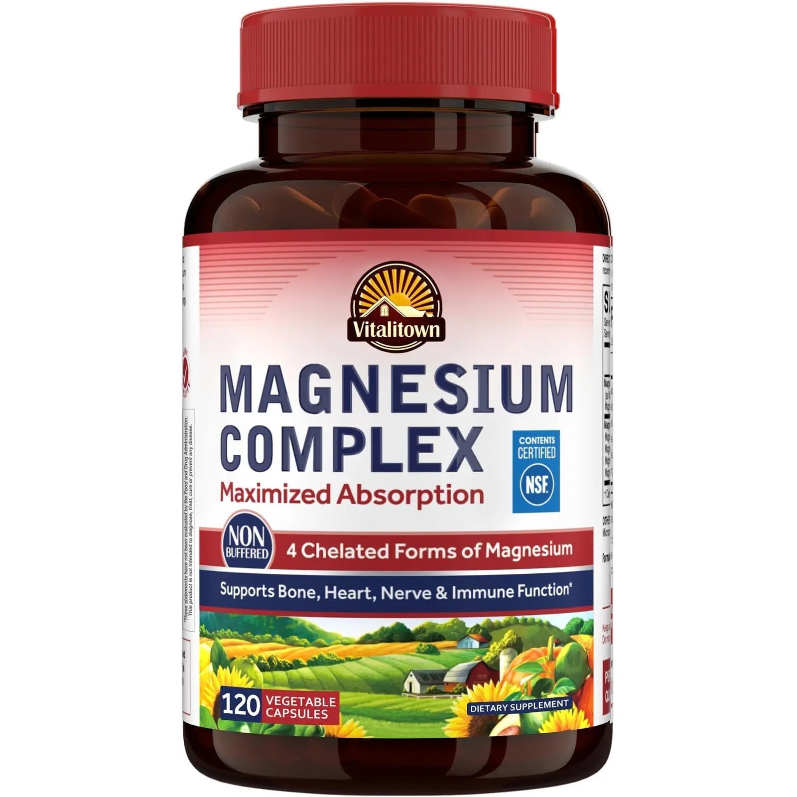 Vitalitown Magnesium Complex Supplement 500mg - NSF Certified Magnesium Glycinate, Malate, Taurate & Citrate - Chelated High Absorption & Gentle on Stomach - Vegan Non-GMO 120 Capsules - TrustMedUSA
