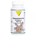 Vitall+ Harpagophytum Bio 400 mg 60 vegetarian capsules - TrustMedUSA