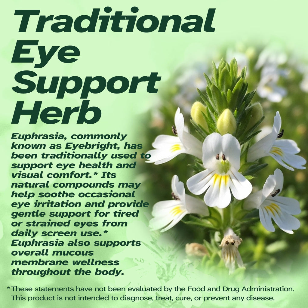 Vitalumina Eyebright Herbal Liquid with Organic Euphrasia, Lutein, Bilberry, Blueberry & Goji – Plant-Based Vegan Supplement for Adults – 4 fl oz - TrustMedUSA
