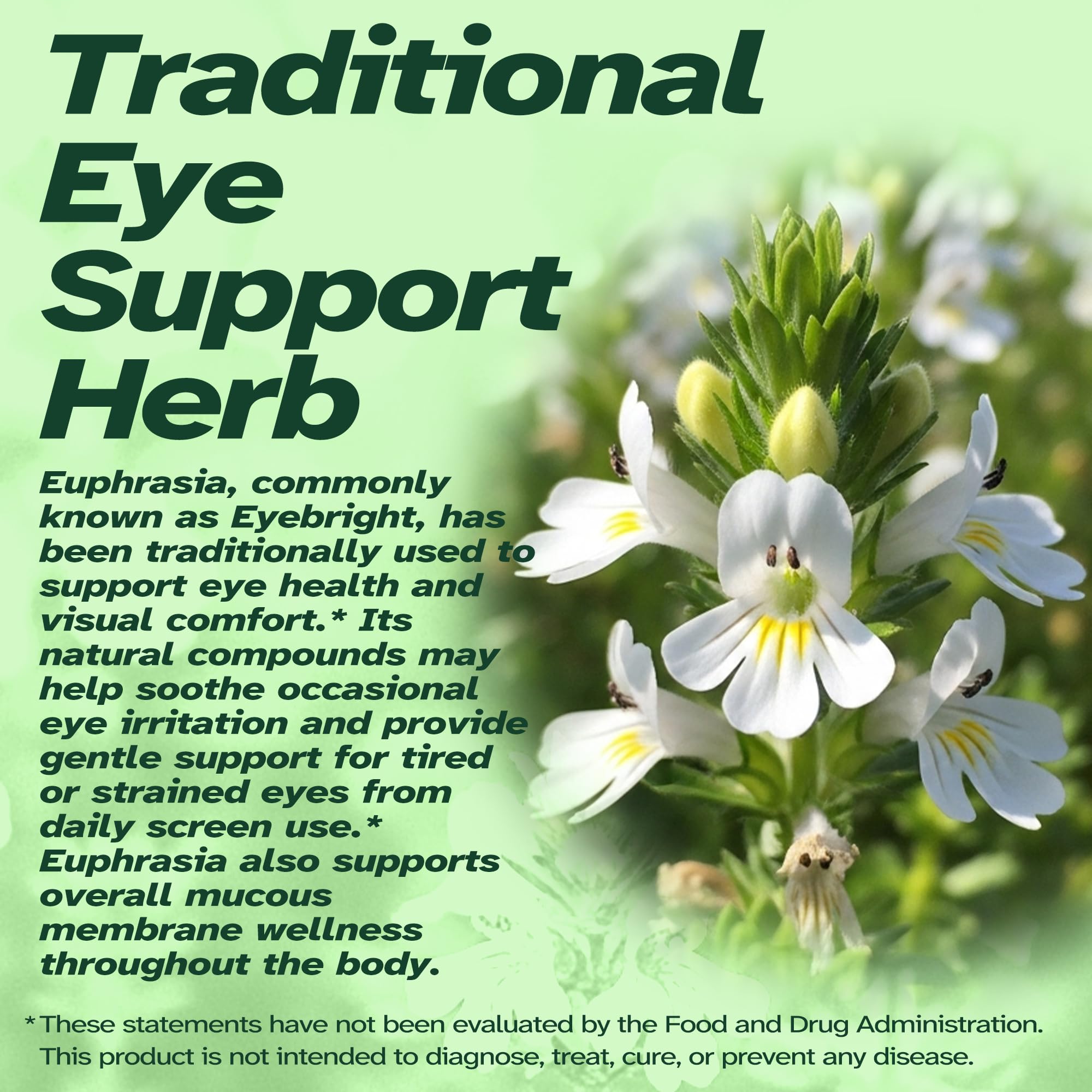 Vitalumina Eyebright Herbal Liquid with Organic Euphrasia, Lutein, Bilberry, Blueberry & Goji – Plant-Based Vegan Supplement for Adults – 4 fl oz - TrustMedUSA