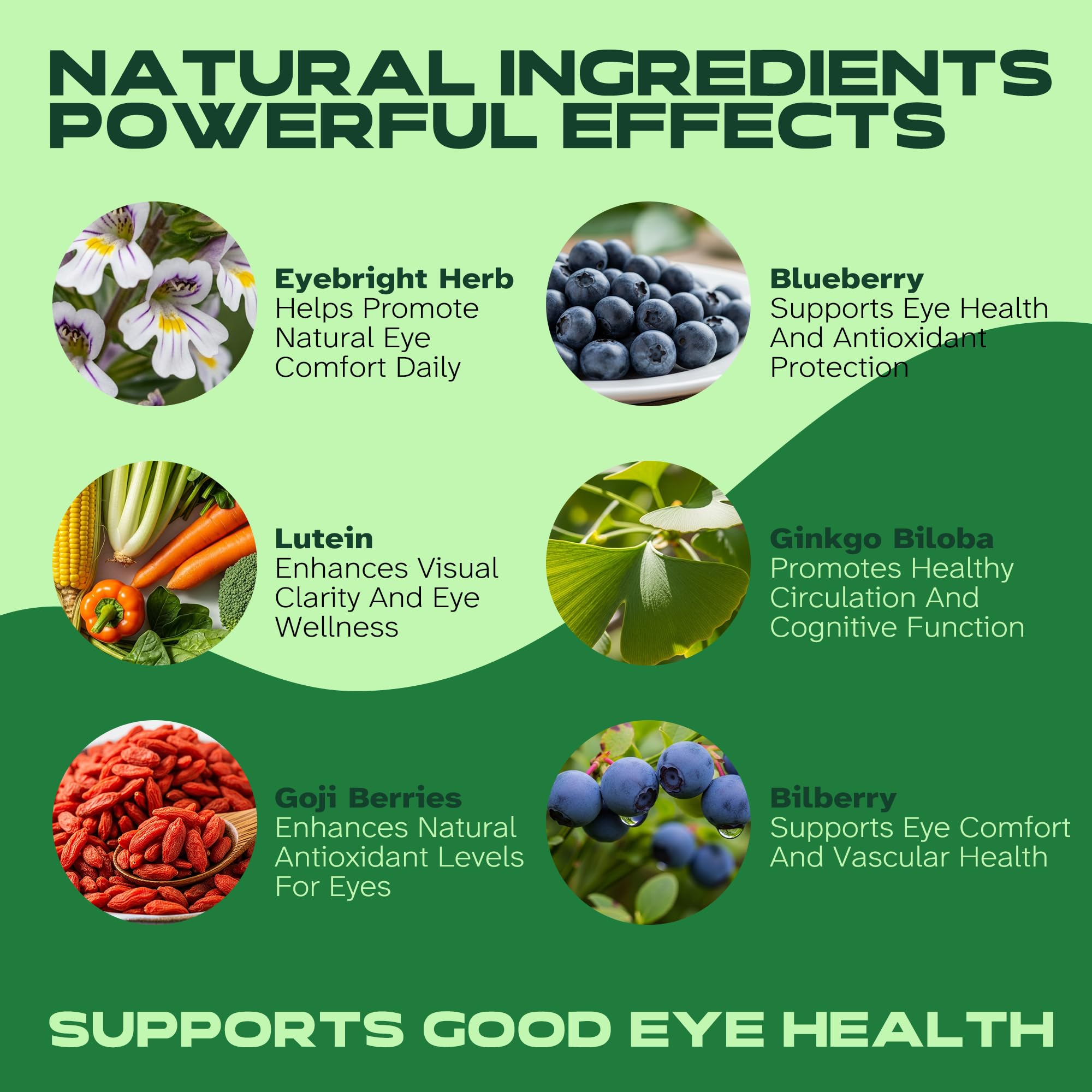 Vitalumina Eyebright Herbal Liquid with Organic Euphrasia, Lutein, Bilberry, Blueberry & Goji – Plant-Based Vegan Supplement for Adults – 4 fl oz - TrustMedUSA