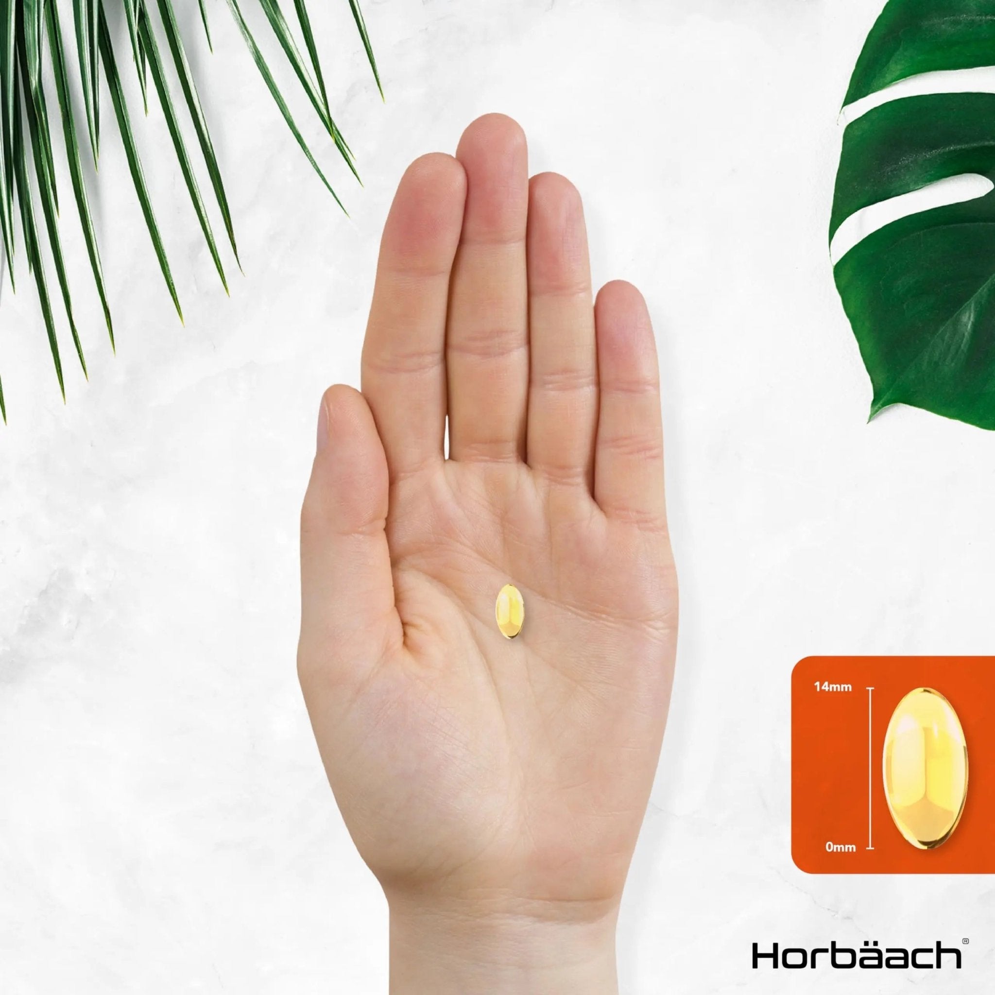 Vitamin A Capsules 10,000iu | 365 Count (1 Year Supply) | High Strength Vitamin A Supplem - TrustMedUSA