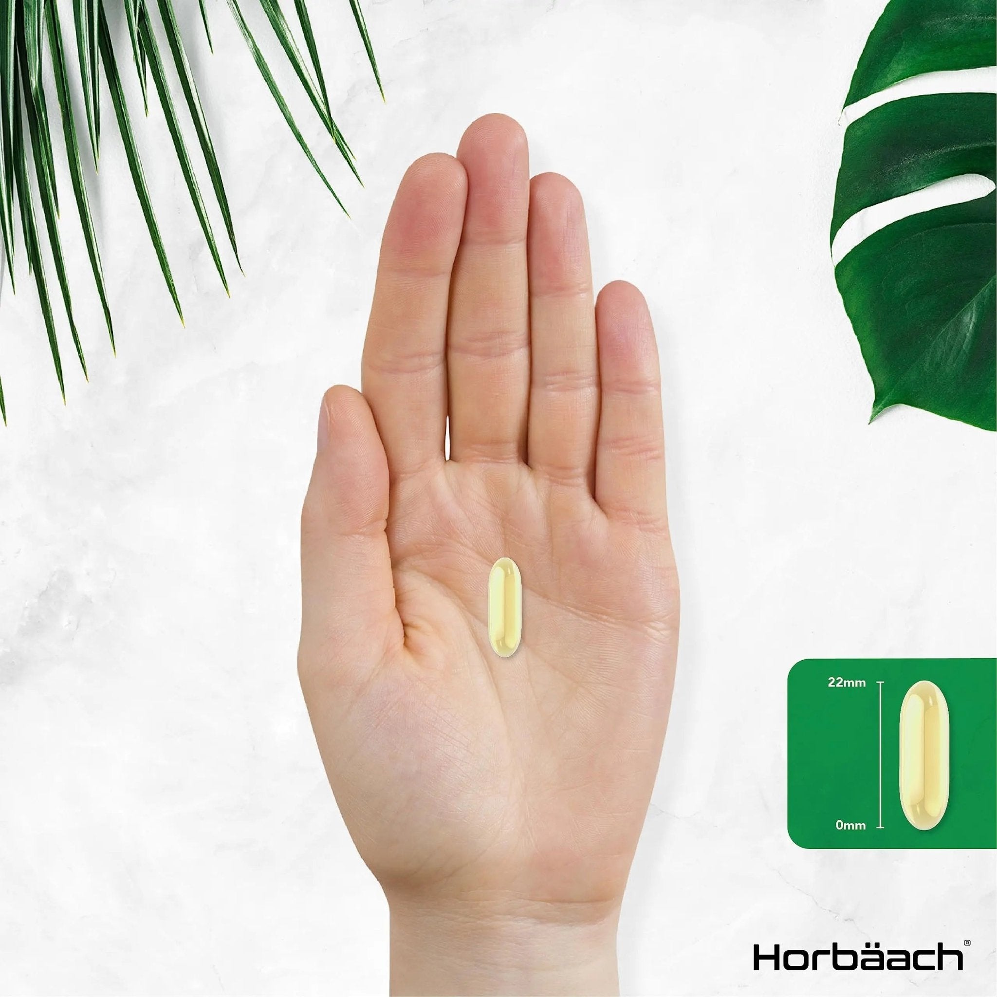 Vitamin E Capsules 1000iu | 200 Count | High Strength Vitamin E as DL-Alpha Tocopheryl - TrustMedUSA