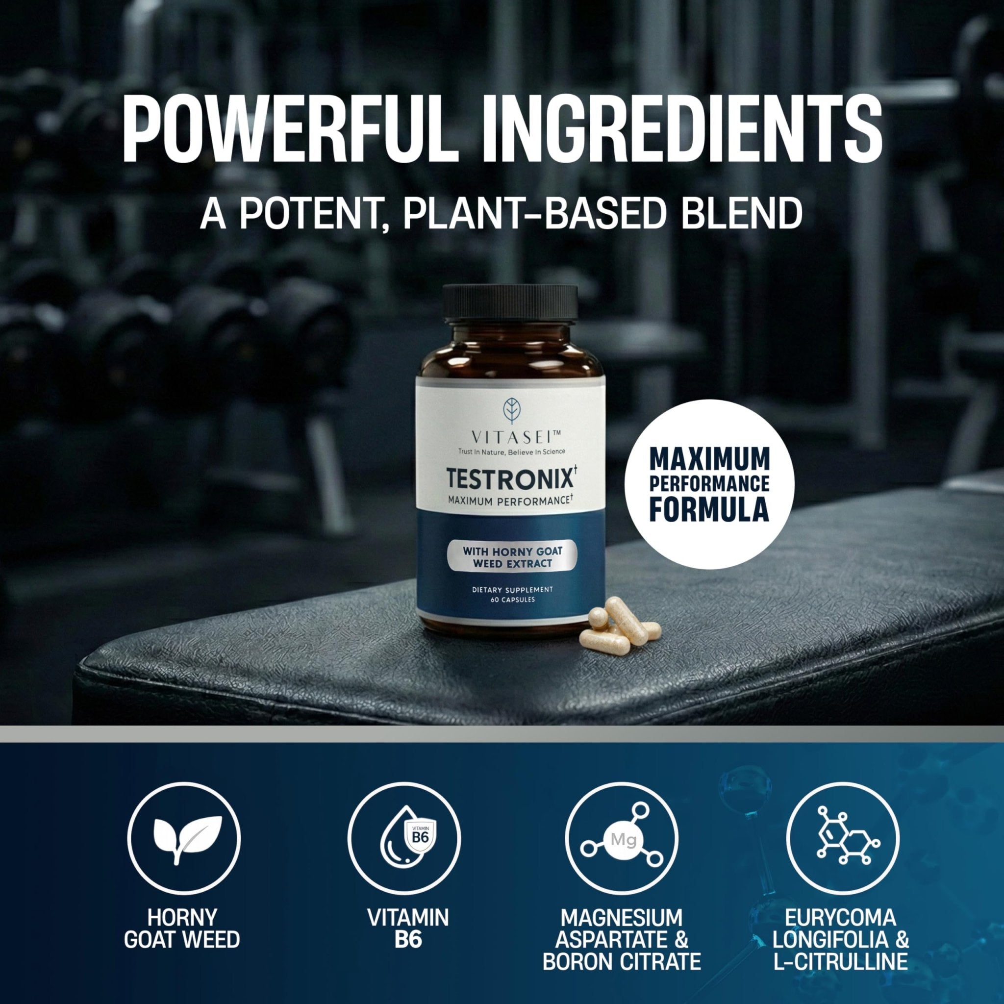VITASEI Testronix Performance Supplement for Men - Energy and Muscle Supplements for Mens Health - 60 Capsules (Pack of 2) - TrustMedUSA