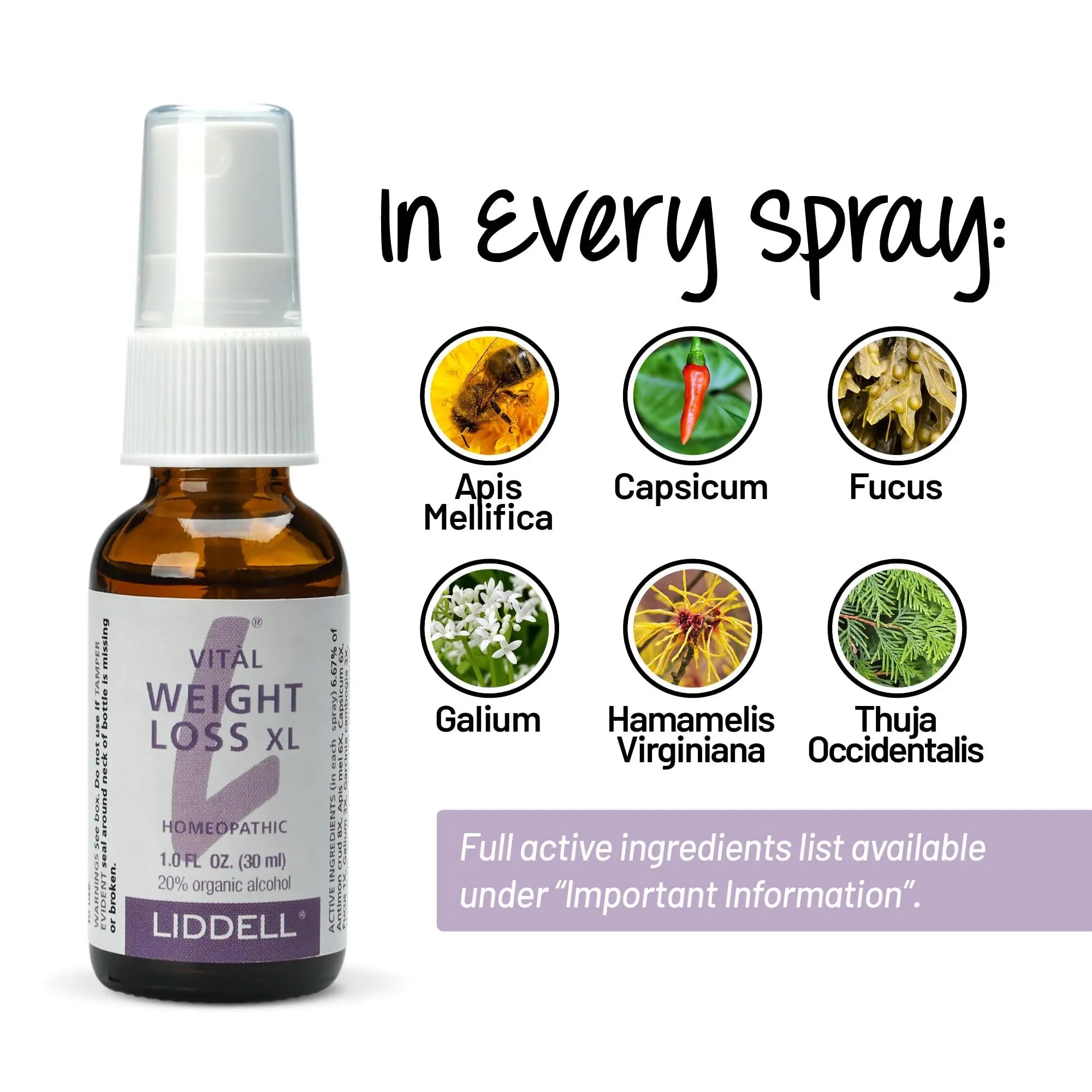 VITL Weight Loss XL Liddell Homeopathic 1 oz Liquid - TrustMedUSA