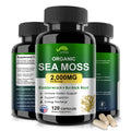 VPKIN Organic Sea Moss Capsules with Bladderwrack,Burdock Root and Black Pepper Extract-Irish SeaMoss Pills 2000mg-Promotes Immune System,Thyroid Support(120 Capsules) - TrustMedUSA