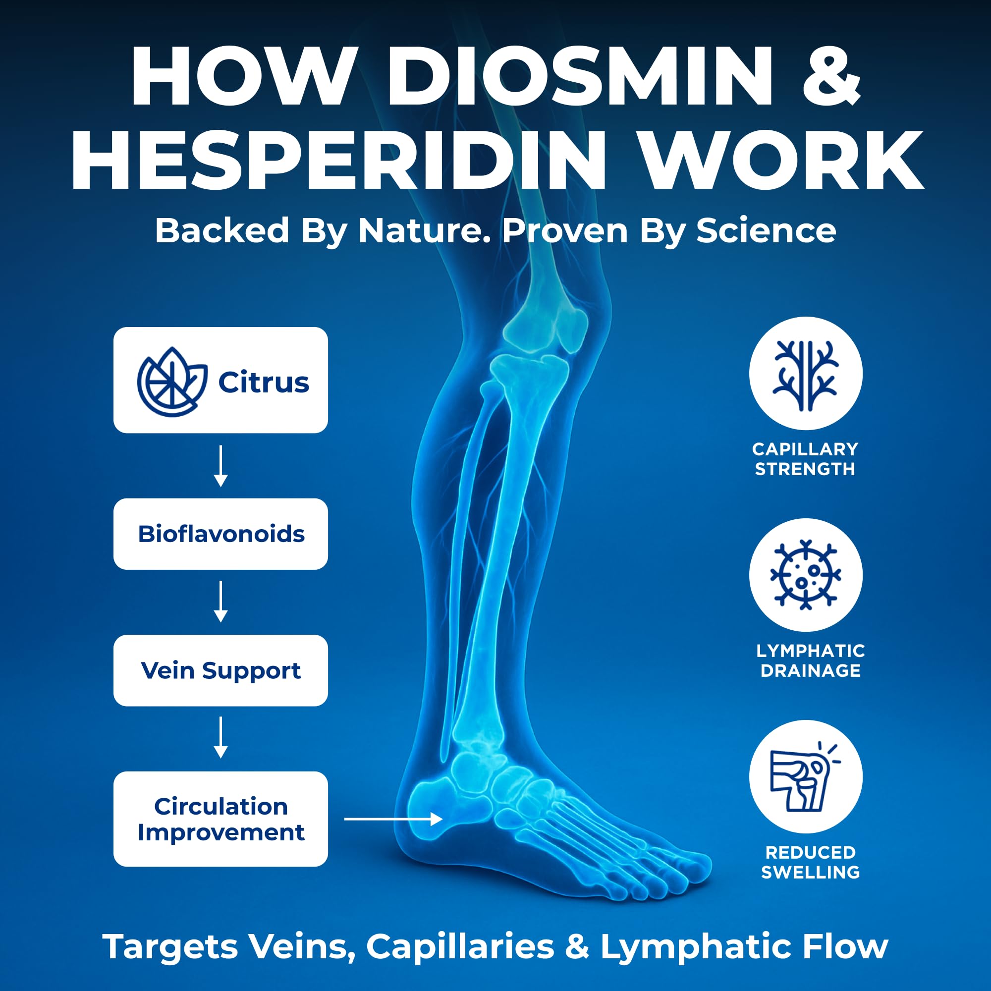 We Like Vitamins Diosmin Hesperidin 1000mg – 180 Capsules – 90 Day Supply - Diosmin and Hesperidin Supplement – Helps to Support Healthy Circulation, - TrustMedUSA