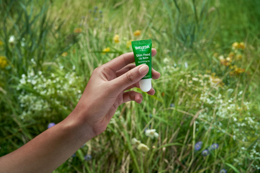Weleda Skin Food Lip Butter, 0.27 Ounce, Plant Rich Moisturizing Lip Care with Sunflower Seed Oil - TrustMedUSA