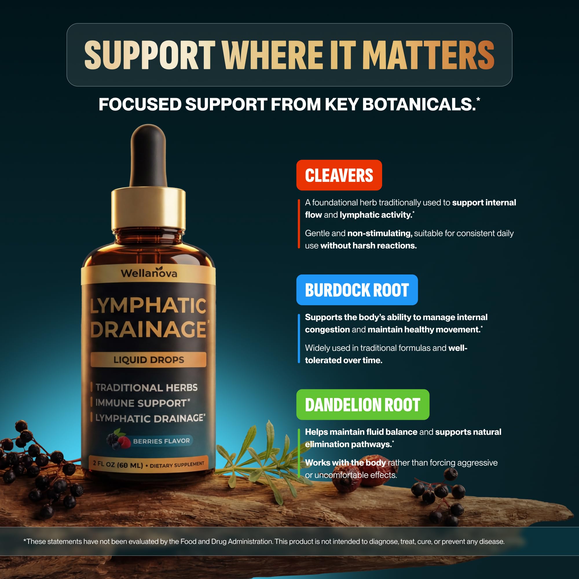 Wellanova Lymphatic Drainage Supplement - Organic Liquid Drops for Lymphatic Support & Detox - 8-in-1 Herbal Blend - Lymphatic Cleanse Complex with Burdock, Dandelion, Elderberry - 2 fl oz - Maple Wellness Supplements