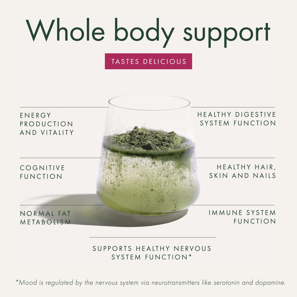 WelleCo The Super Elixir Daily Greens Powder, Probiotic Drink Mix with Whole Foods, Gluten Free, Vegan Gut Health Powder, Energy, Immunity, Healthy Skin, Hair & Nails (300g, Mixed Berry) - TrustMedUSA