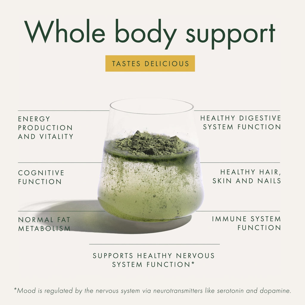 WelleCo The Super Elixir Daily Greens Powder, Probiotic Drink Mix with Whole Foods, Gluten Free, Vegan Gut Health Powder, Energy, Immunity, Healthy Skin, Hair & Nails (300g, Lemon Ginger) - TrustMedUSA