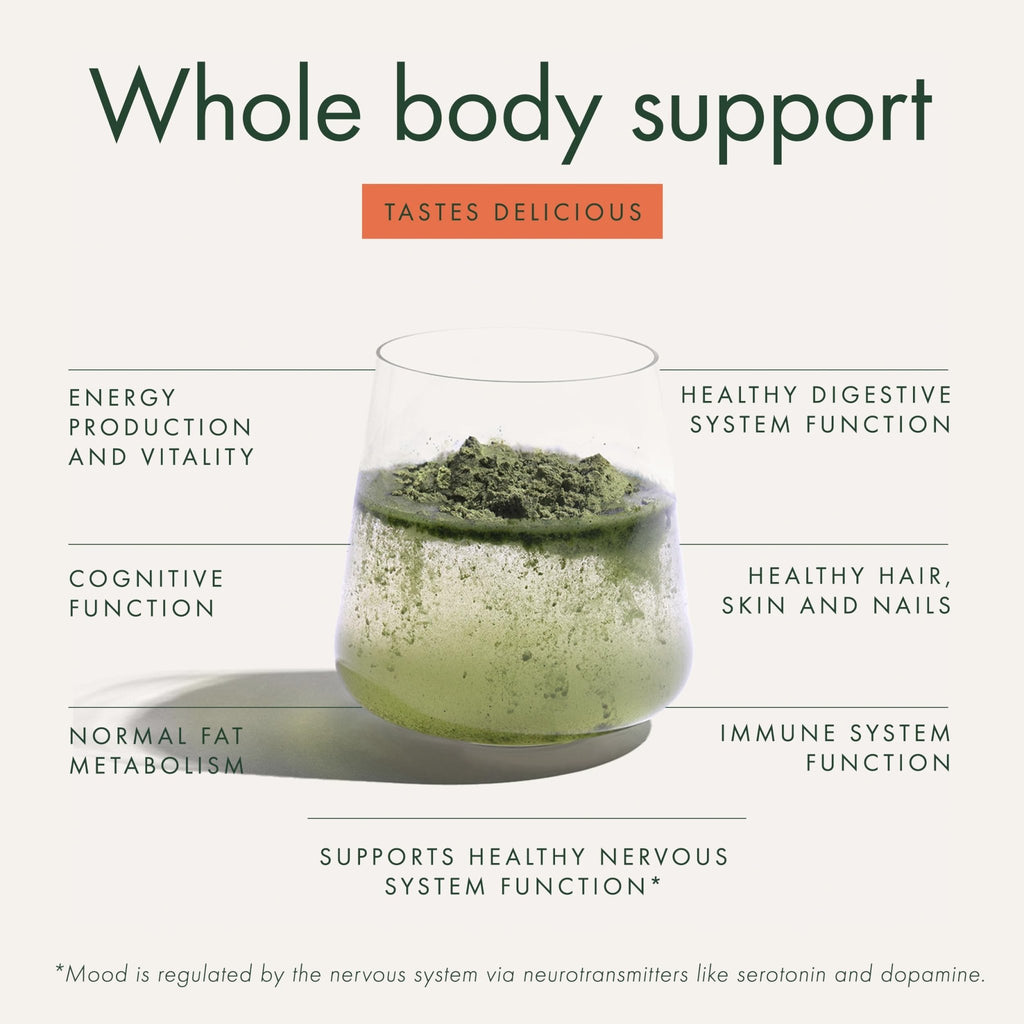 WelleCo The Super Elixir Daily Greens Powder, Probiotic Drink Mix with Whole Foods, Gluten Free, Vegan Gut Health Powder, Energy, Immunity, Healthy Skin, Hair & Nails (Jar, Blood Orange) - TrustMedUSA
