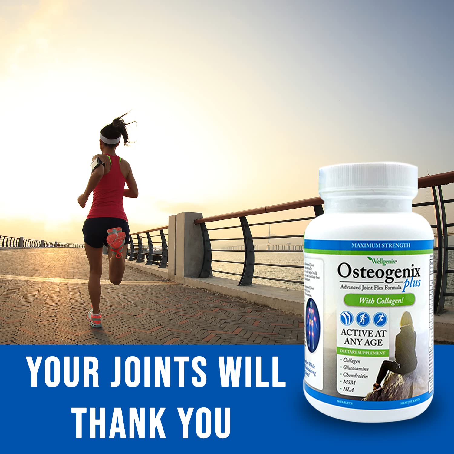 Wellgenix Osteogenix Advanced Joint Flex Formula (90 Ct) - Knee Supplement with Collagen II, Glucosamine, Chondroitin, MSM & HLA - Lubrication & Discomfort Support Tablets for Men & Women - TrustMedUSA