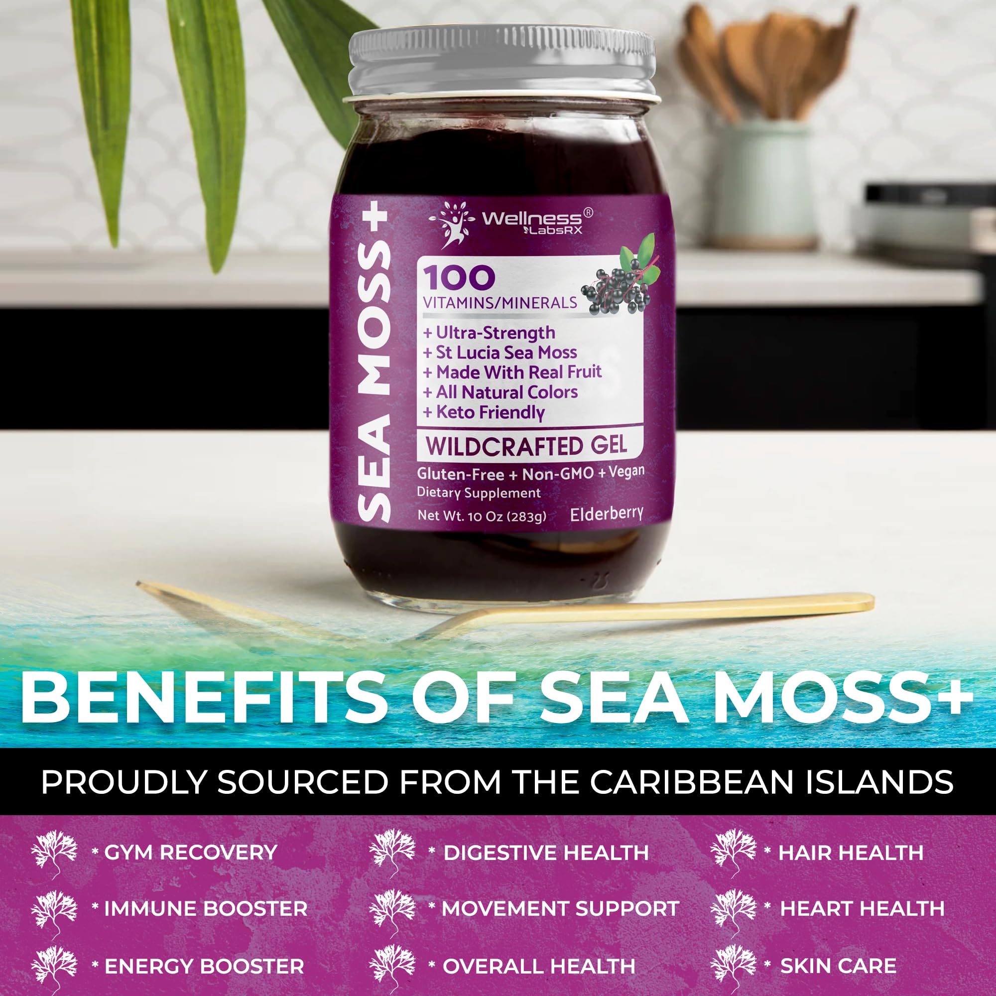 WELLNESS LABSRX Irish Sea Moss Gel Raw - Wildcrafted Superfood Seamoss Gel - Elderberry Flavor, Vitamin and Mineral-Rich from Pristine Caribbean Waters, Immune and Digestive Health Support - 10 oz. - TrustMedUSA