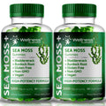 WELLNESS LABSRX Sea Moss Gummies, 3200mg Irish Sea Moss Mixed Berry Flavor with Maximum Potency Bladderwrack and Burdock Root - Supports Skin, Energy and Immunity - 180 Count - TrustMedUSA