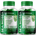 WELLNESS LABSRX Sea Moss Gummies, 3200mg Organic Seamoss, Irish Sea Moss - TrustMedUSA