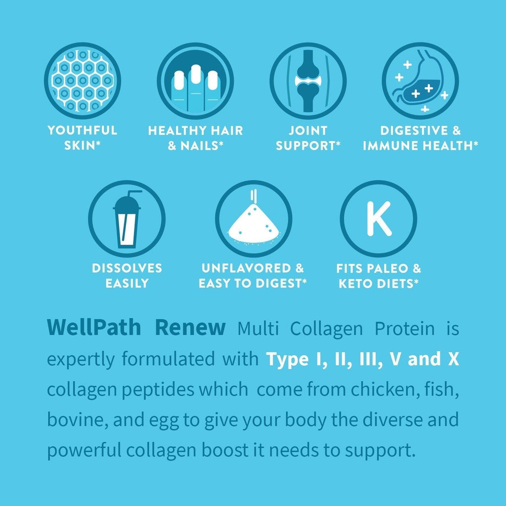 WellPath Multi Collagen Peptides Powder for Women | Renew Multi Collagen Protein for Hair, Nails, Skin | Hydrolyzed Bovine, Marine, & Chicken Sources | Types I, II, III, V, X | 11 oz | 40 Servings - Maple Wellness Supplements