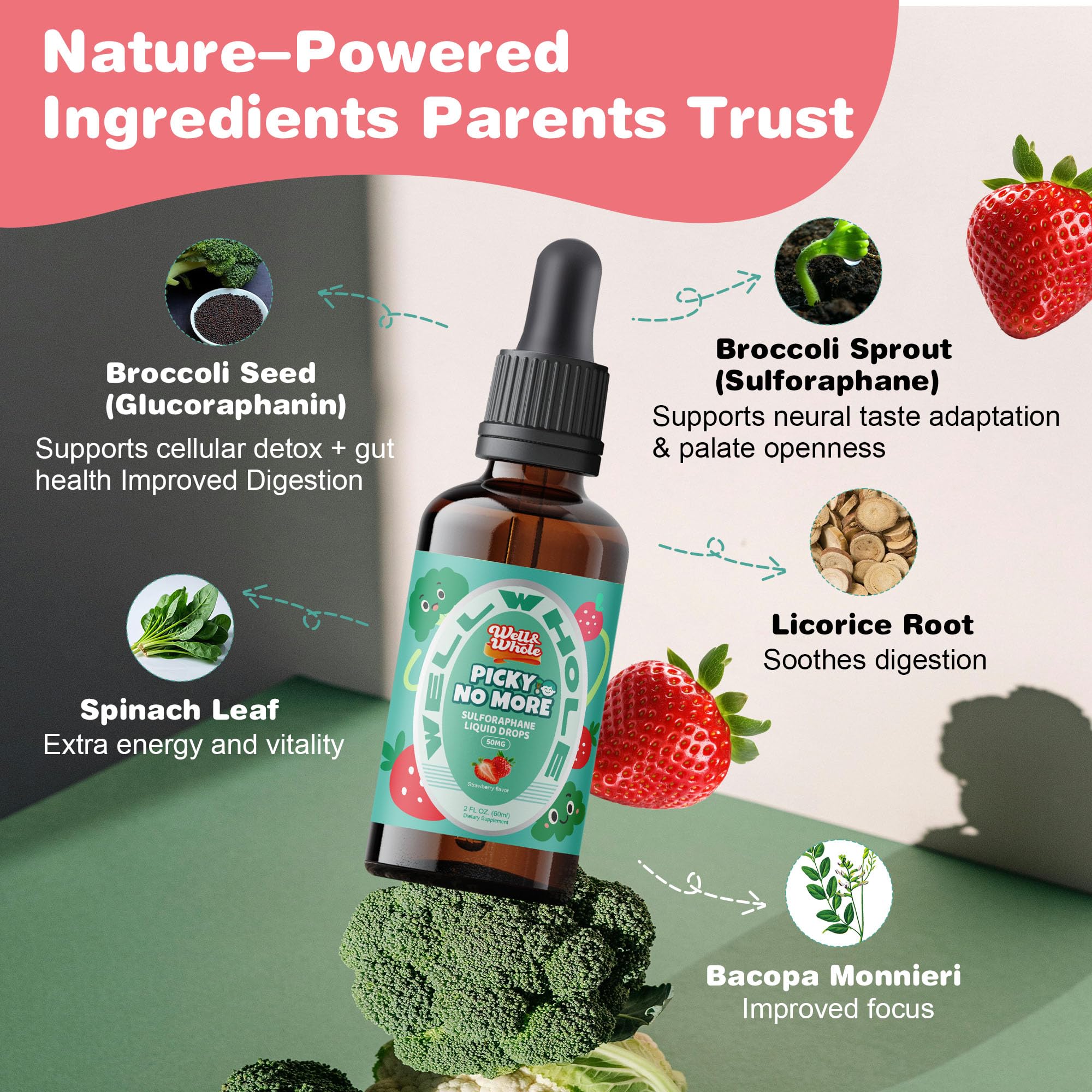 Well&Whole Sulforaphane Kids Liquid Supplement – Pick No More Broccoli Sprout Extract Drops, Hidden Greens for Picky Eaters, Daily Nutrition Support, Sugar-Free, Vegan, 60mL - TrustMedUSA