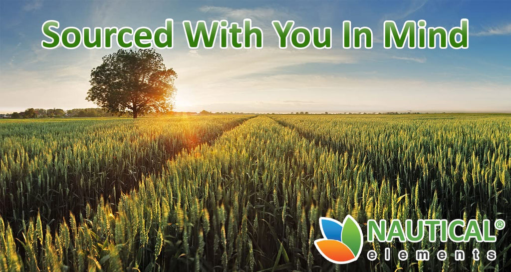 Wheatgrass Powder - USDA Certified Organic Wheat Grass Powder That Is Rich In Essential Amino Acids, Chlorophyll, Antioxidants, Fatty Acids, Minerals & Vitamins - US Grown - Vegan & Non-GMO Superfoods - TrustMedUSA