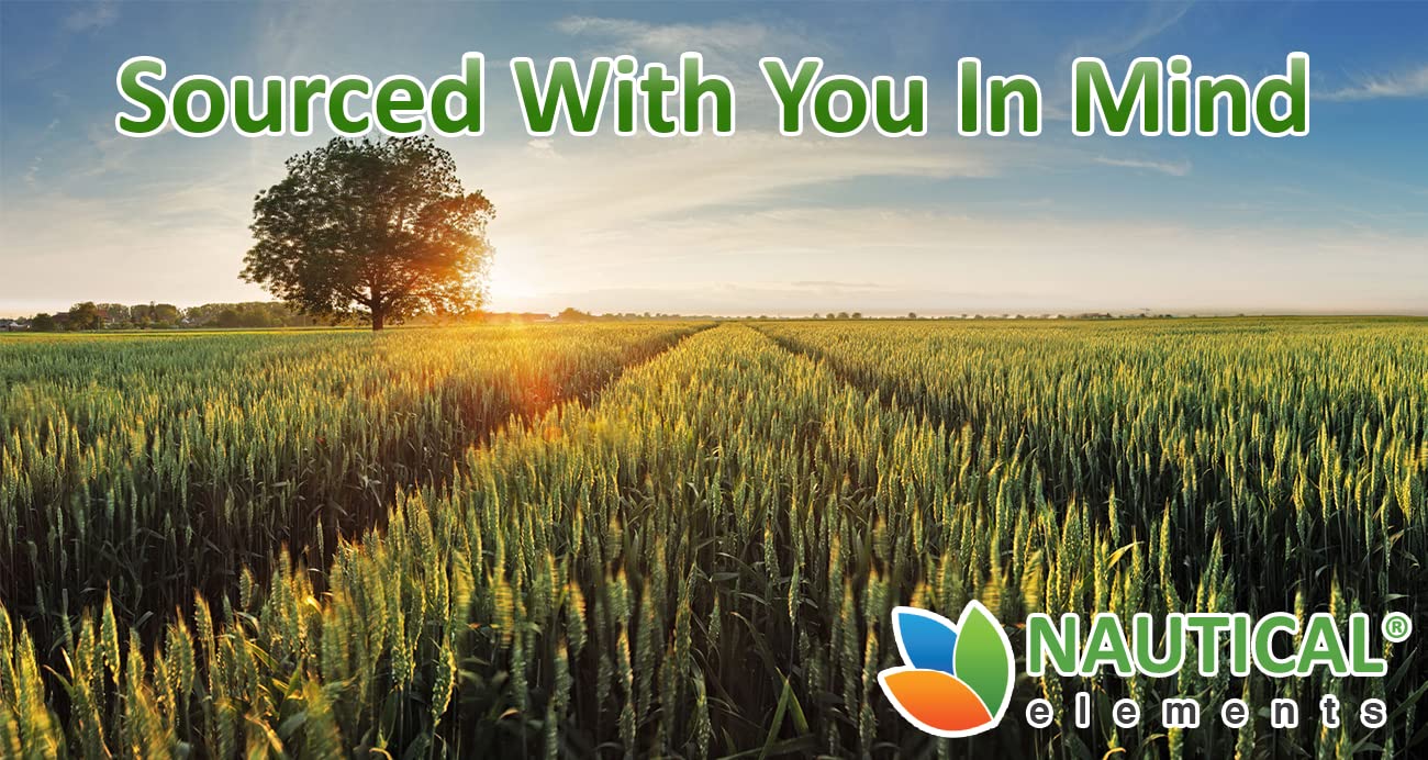Wheatgrass Powder - USDA Certified Organic Wheat Grass Powder That Is Rich In Essential Amino Acids, Chlorophyll, Antioxidants, Fatty Acids, Minerals & Vitamins - US Grown - Vegan & Non-GMO Superfoods - TrustMedUSA