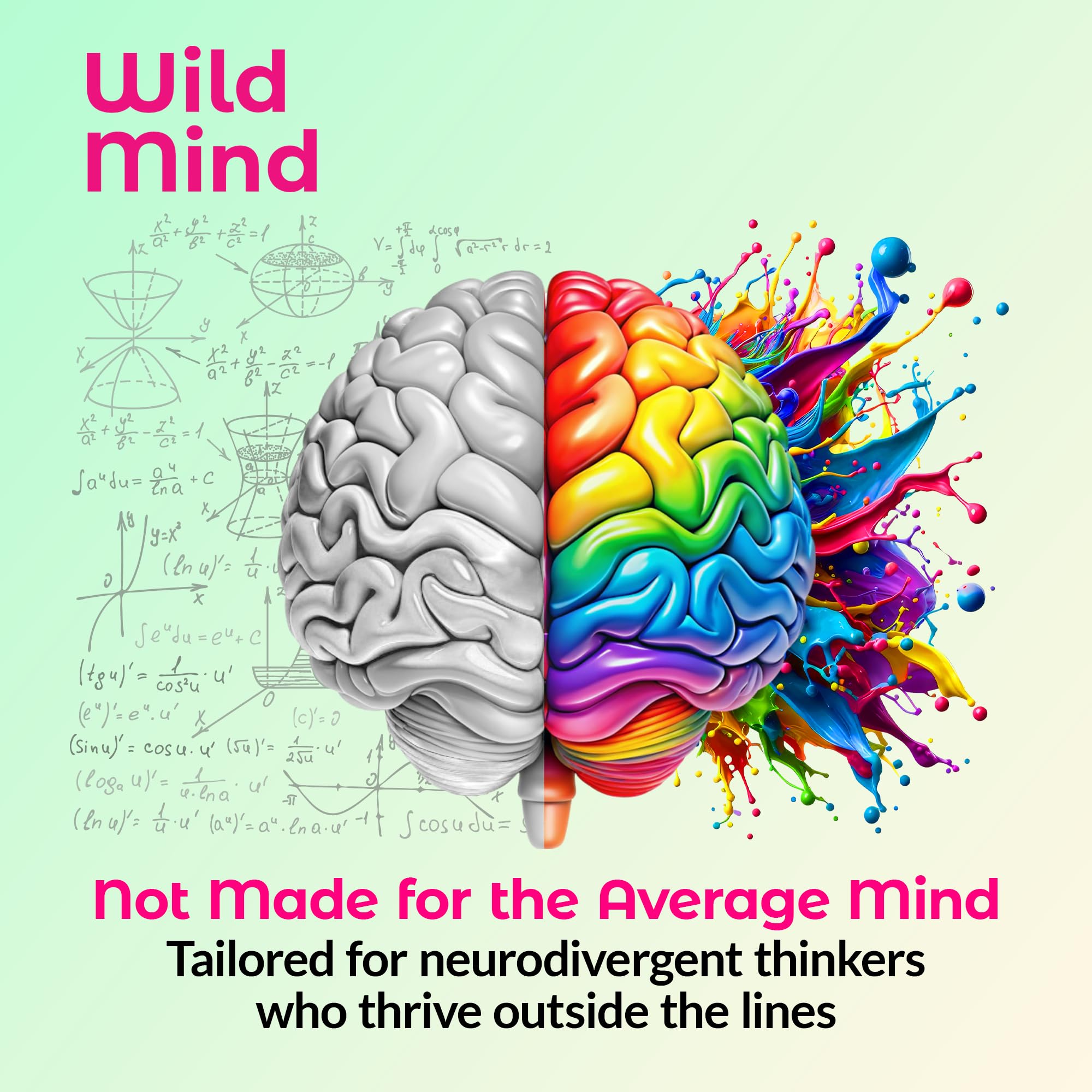 Wild Mind Mental Clarity Balanced Focus & Mood Support Supplement for Mental Wellness– 4-Ingredient Nootropic Brain Support for Calm & Energy – Vegan, 90 Capsules, 30-Day Supply - TrustMedUSA