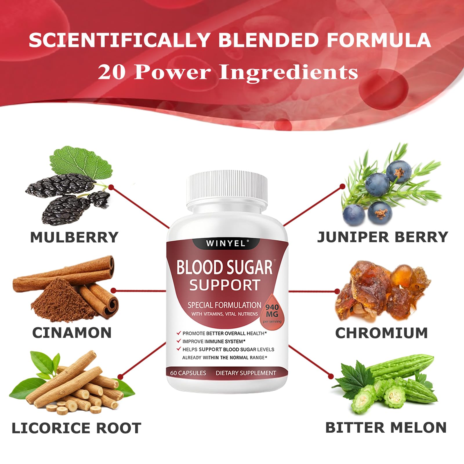 WINYEL Blood Sugar Complex Supplement - with Cinnamon, Bitter Melon, Chromium, Mulberry, Alpha Lipoic Acid, 60 Capsules - TrustMedUSA