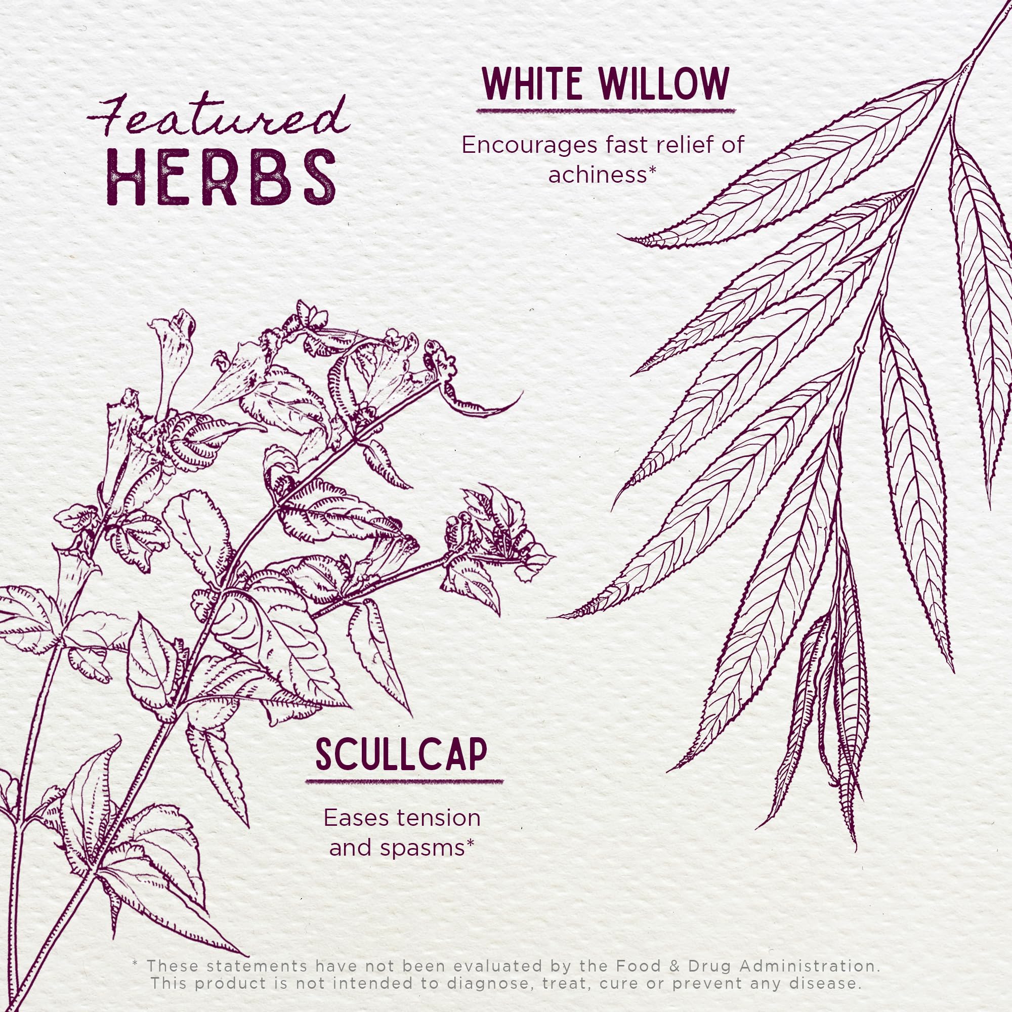 WishGarden Herbs Cranial Comfort - Plant-Based Herbal Supplement with White Willow Bark Extract, Lavender & Scullcap Supports Release of Head, Neck & Shoulders Tension, Stress & Muscle Tension, 4oz - TrustMedUSA
