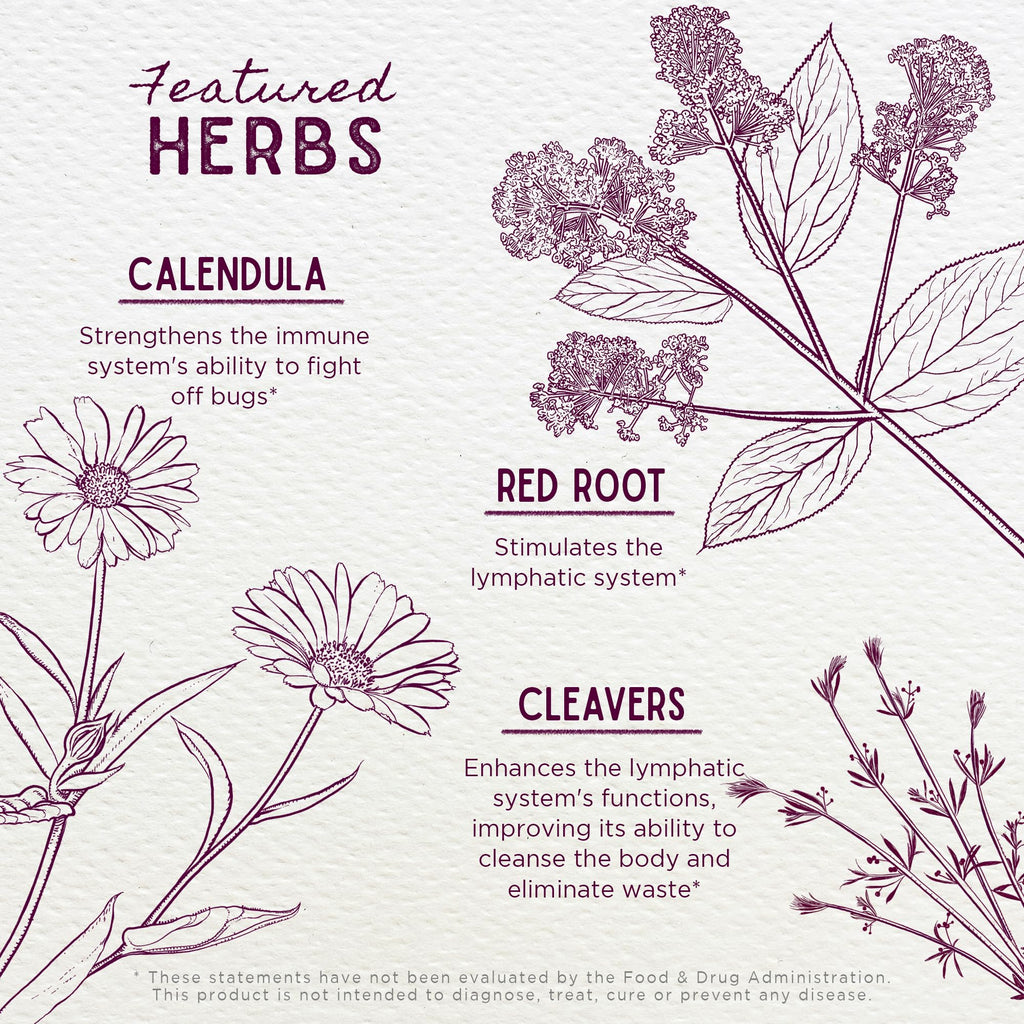 WishGarden Herbs Lymph Mover - Organic Lymphatic Drainage Drops with Echinacea, Cleavers & Red Root - Immune Support Supplement, Lymph System Support - Liquid Herbal Tincture, Gluten-Free, Vegan, 2oz - Maple Wellness Supplements
