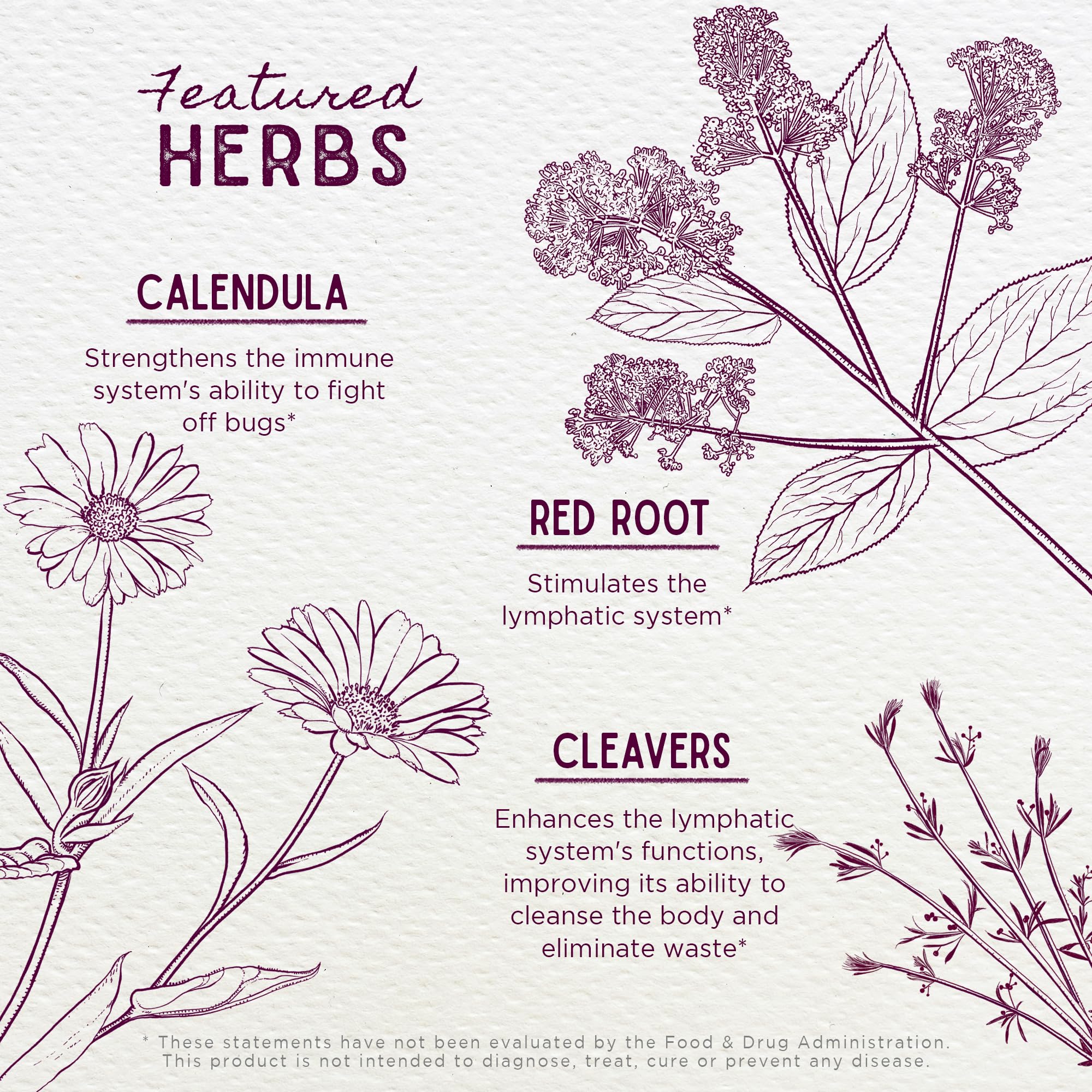 WishGarden Herbs Lymph Mover - Organic Lymphatic Drainage Drops with Echinacea, Cleavers & Red Root - Immune Support Supplement, Lymph System Support - Liquid Herbal Tincture, Gluten-Free, Vegan, 2oz - Maple Wellness Supplements