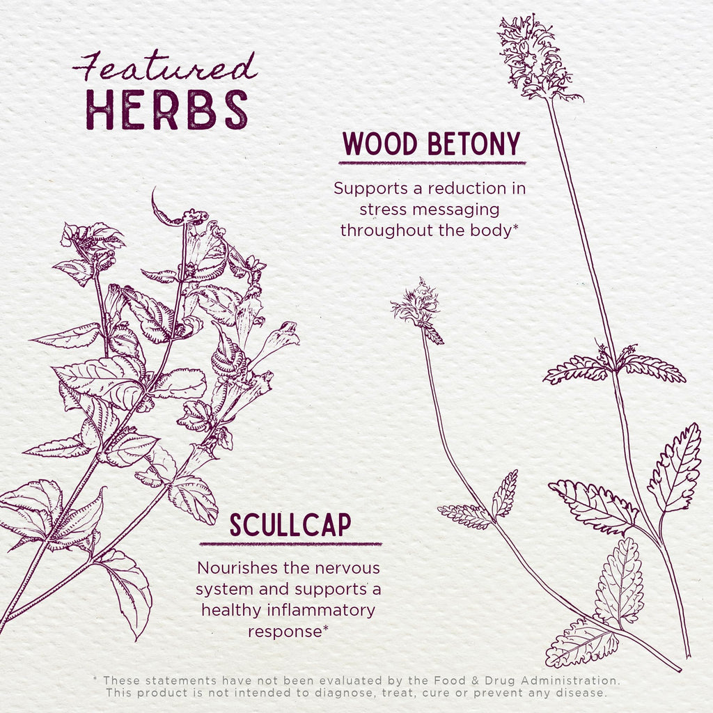 WishGarden Herbs Serious Relaxer, Liquid Herbal Muscle Relaxant with Wild Lettuce & Valerian Root, Eases Neck & Shoulder Tension, Tense Muscles, Muscle Spasms & Restless Legs, Non-GMO, Vegan, 4oz - TrustMedUSA