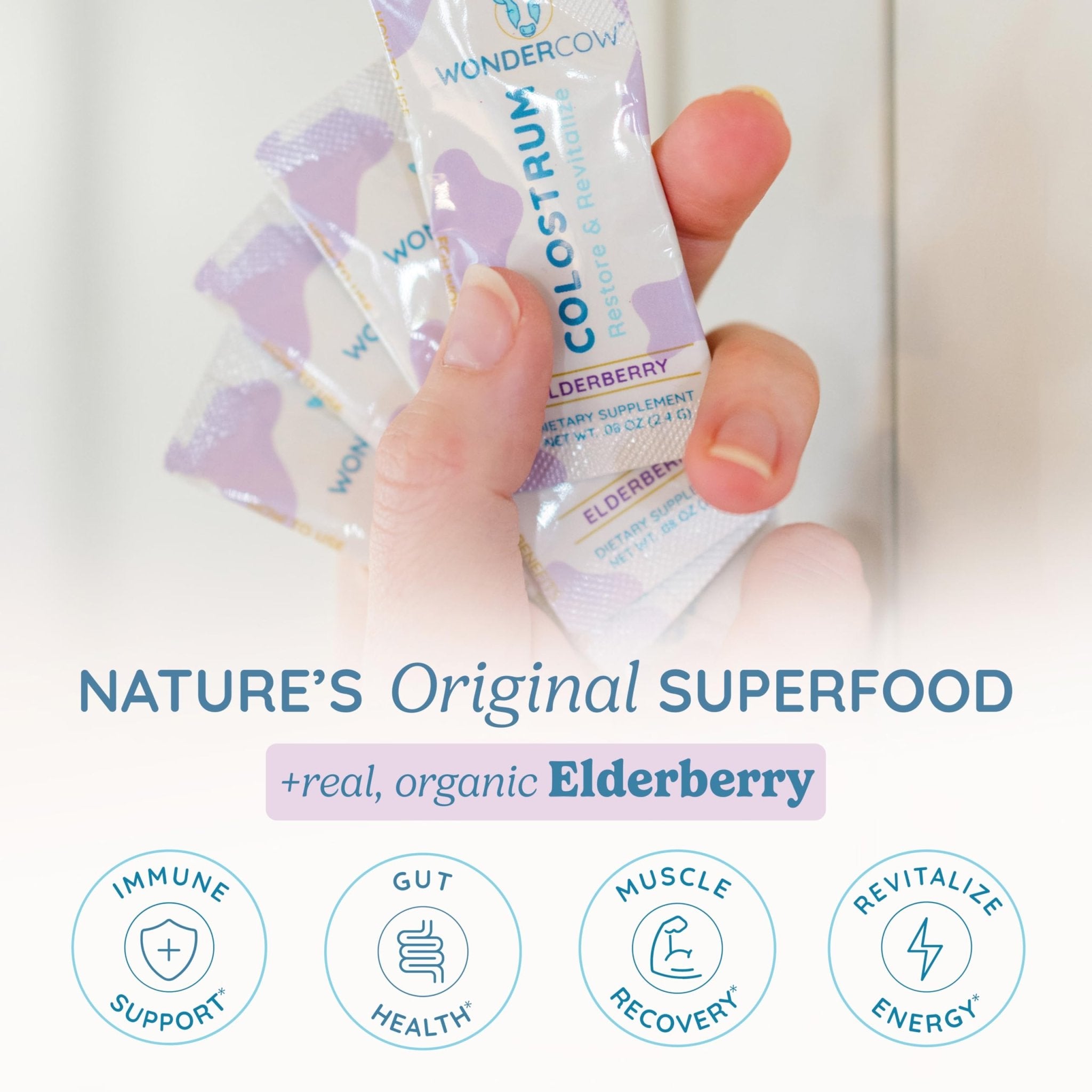 WONDERCOW Colostrum Supplement Powder for Gut Health, Immune Support & Wellness | Natural IgG Pure Whole Bovine Colostrum Superfood, Elderberry, 30 Servings - TrustMedUSA