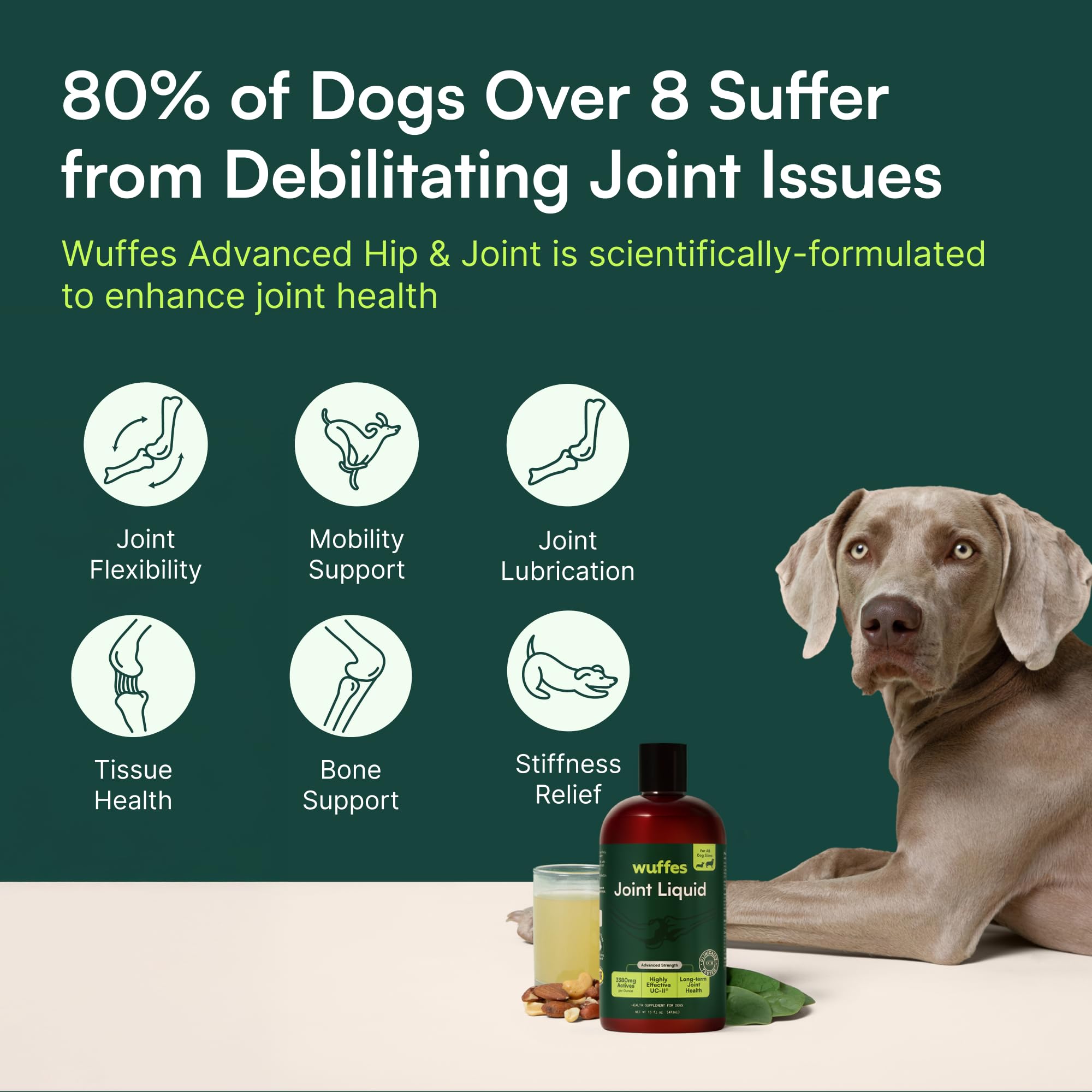 Wuffes Advanced Joint Liquid for Dogs, Hip & Joint Support Supplement with Glucosamine, Chondroitin, UC-II® Collagen, and MSM, for Small & Large Breeds, 16 Oz - TrustMedUSA