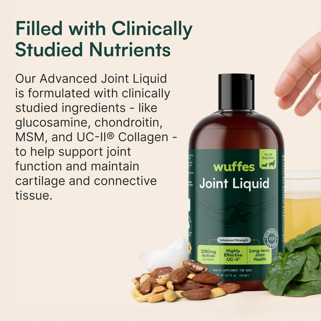 Wuffes Advanced Joint Liquid for Dogs, Hip & Joint Support Supplement with Glucosamine, Chondroitin, UC-II® Collagen, and MSM, for Small & Large Breeds, 16 Oz - TrustMedUSA