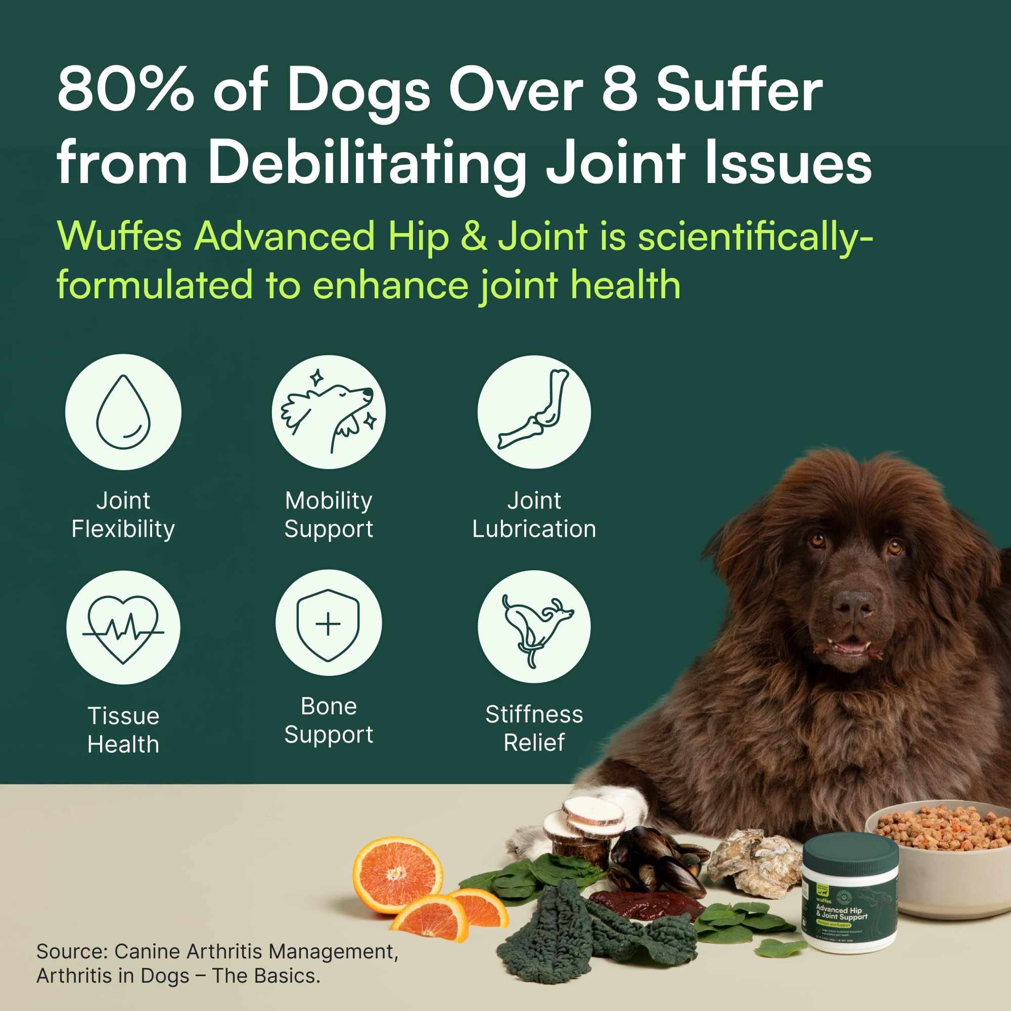Wuffes Chewable Dog Hip & Joint Supplement - Glucosamine & Chondroitin Chews - Dog Joint Supplements & Vitamins - Extended Joint Care (Large Breed (Over 65 lbs), 60 Chews (Pack of 2)) - TrustMedUSA