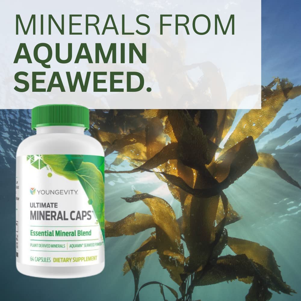 Youngevity Ultimate Mineral Caps™ - 70+ Essential Full Spectrum Trace Minerals - Nutrient-Dense, Derived from Humic & Aquamin Seaweed (64 Capsule) - TrustMedUSA