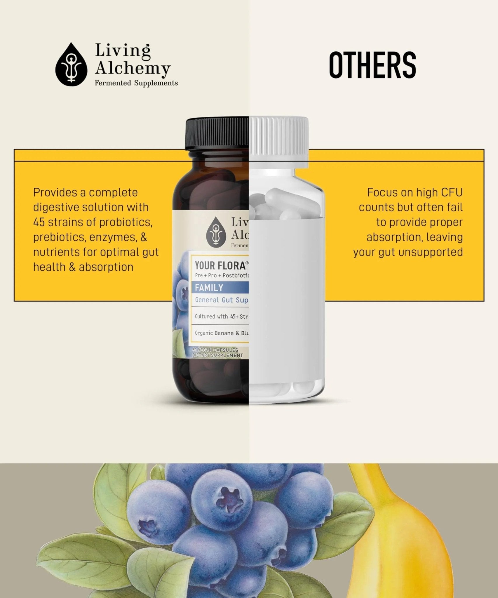 Your Flora Probiotic Family – Non-GMO Probiotics with Fermented Soybean, Banana, & Blueberry for Digestion & Gut Support – Prebiotics, Postbiotics, Digestive Enzymes – Living Alchemy, 60 Capsules - TrustMedUSA