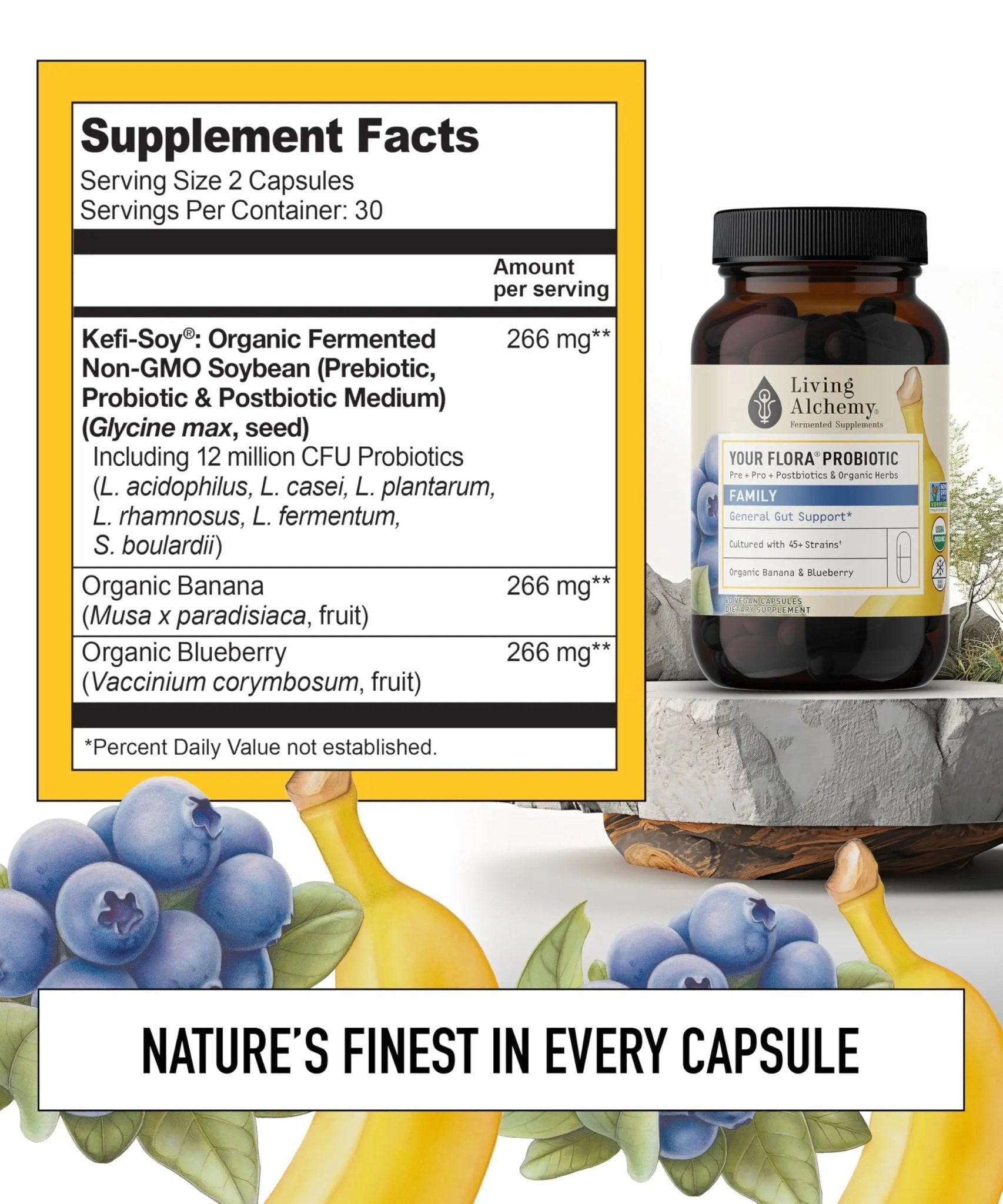 Your Flora Probiotic Family – Non-GMO Probiotics with Fermented Soybean, Banana, & Blueberry for Digestion & Gut Support – Prebiotics, Postbiotics, Digestive Enzymes – Living Alchemy, 60 Capsules - TrustMedUSA