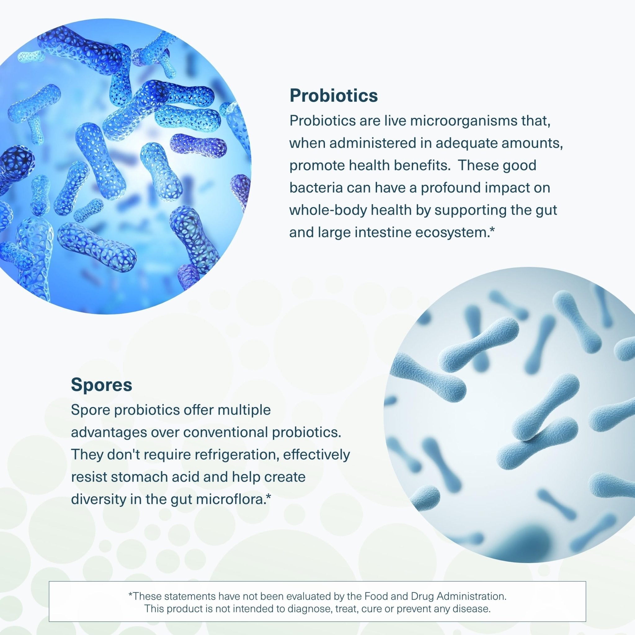 Youtheory Spore Probiotic - Helps Gut Health* - 6 Billion CFU with Prebiotics - Supports Regular Bowel Movement & Diarrhea Relief* - Shelf Stable - 60 Vegetarian Capsules (30-Day Supply) - TrustMedUSA