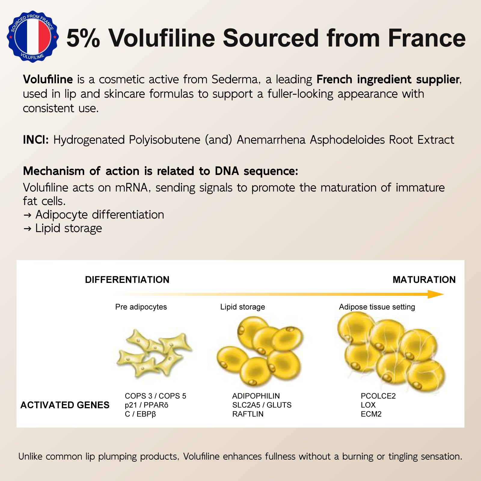 YouthVibe 5% Volufiline Lip Plumper, Nourishing & Anti Aging Over Time with Squalane, Shea Butter, Collagen, Peptide & PDRN - No Burning, No Tingling for Gentle Daily Plumping - TrustMedUSA