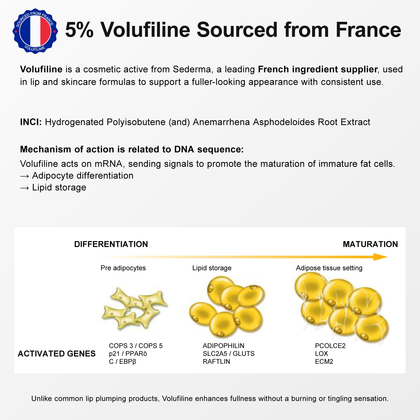 YouthVibe Lip Mask Overnight Moisturizing - Nourish & Hydrate, Antioxidants, 5% Volufiline - TrustMedUSA