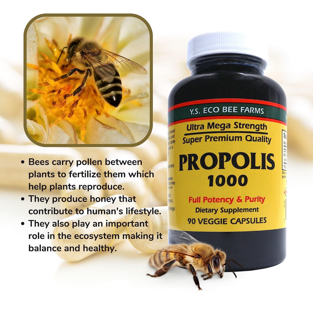 Y.S. Organic Bee Farms Propolis-Raw Unprocessed 1000mg - Your Gateway to Wellness - 90 Capsules with Bonus worldwidenutrition Multi Purpose Key Chain - TrustMedUSA