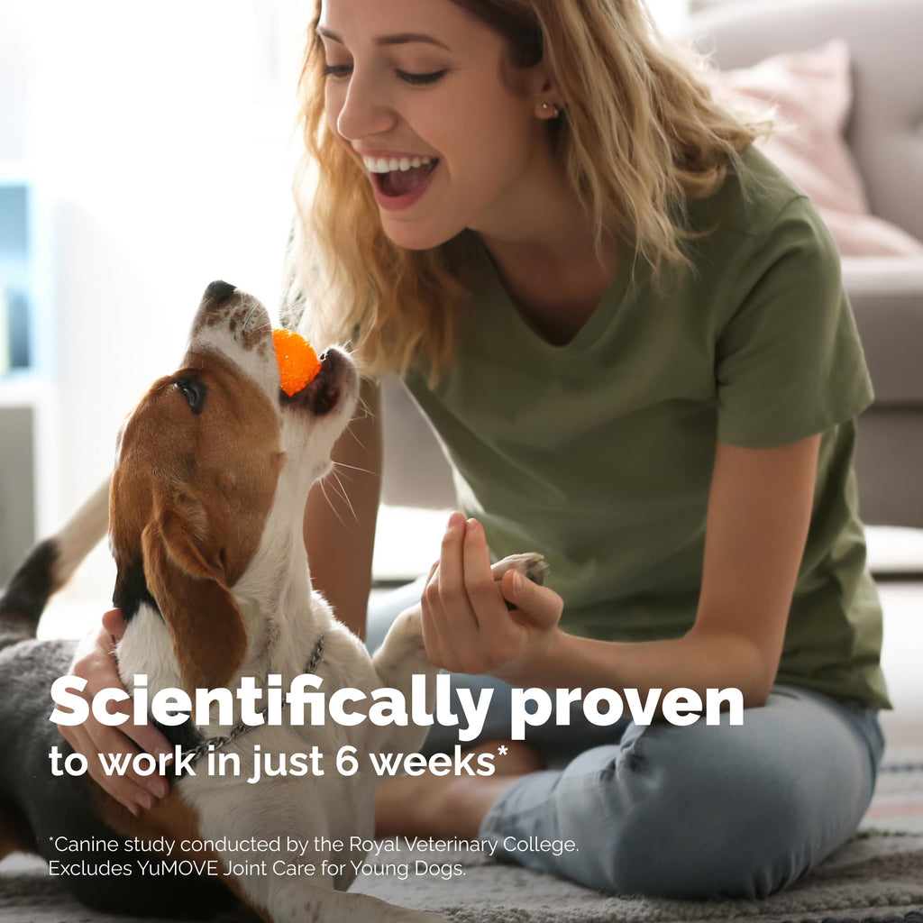 Yumove Hip & Joint Supplement for Dogs with Glucosamine, Hyaluronic Acid, Green Lipped Mussel & Omega 3 Joint Supplement - Regular or Advanced Strength (90 Count, Advanced Vet Strength Soft Chews) - TrustMedUSA