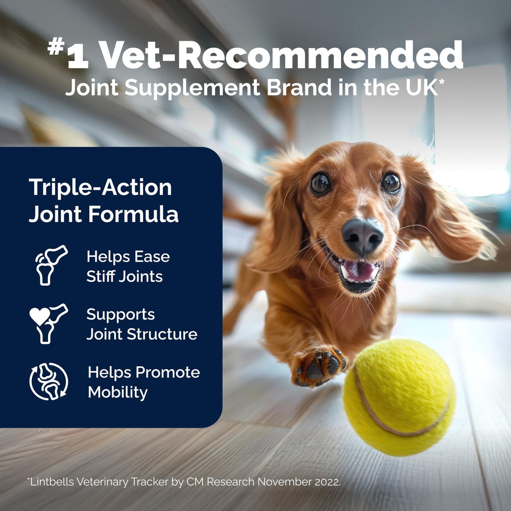 Yumove Hip & Joint Supplement for Dogs with Glucosamine, Hyaluronic Acid, Green Lipped Mussel & Omega 3 Joint Supplement - Regular or Advanced Strength (90 Count, Advanced Vet Strength Soft Chews) - TrustMedUSA